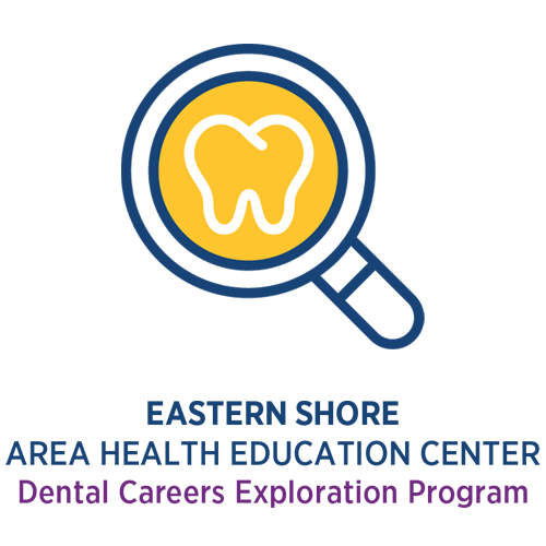 Dental Careers Exploration Program for High School Students